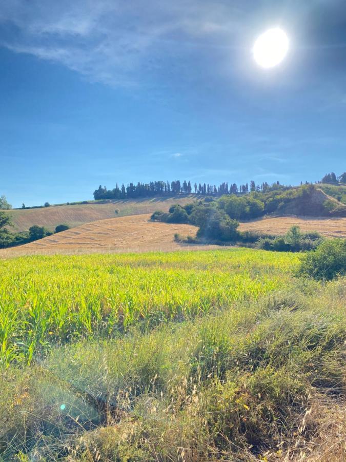 Agriturismo I Moricci Peccioli Exterior foto